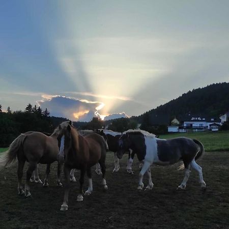 Ferienwohnung Am Tor Zum Thueringer Wald Plaue  Kültér fotó