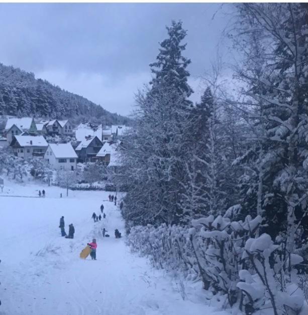 Ferienwohnung Am Tor Zum Thueringer Wald Plaue  Kültér fotó